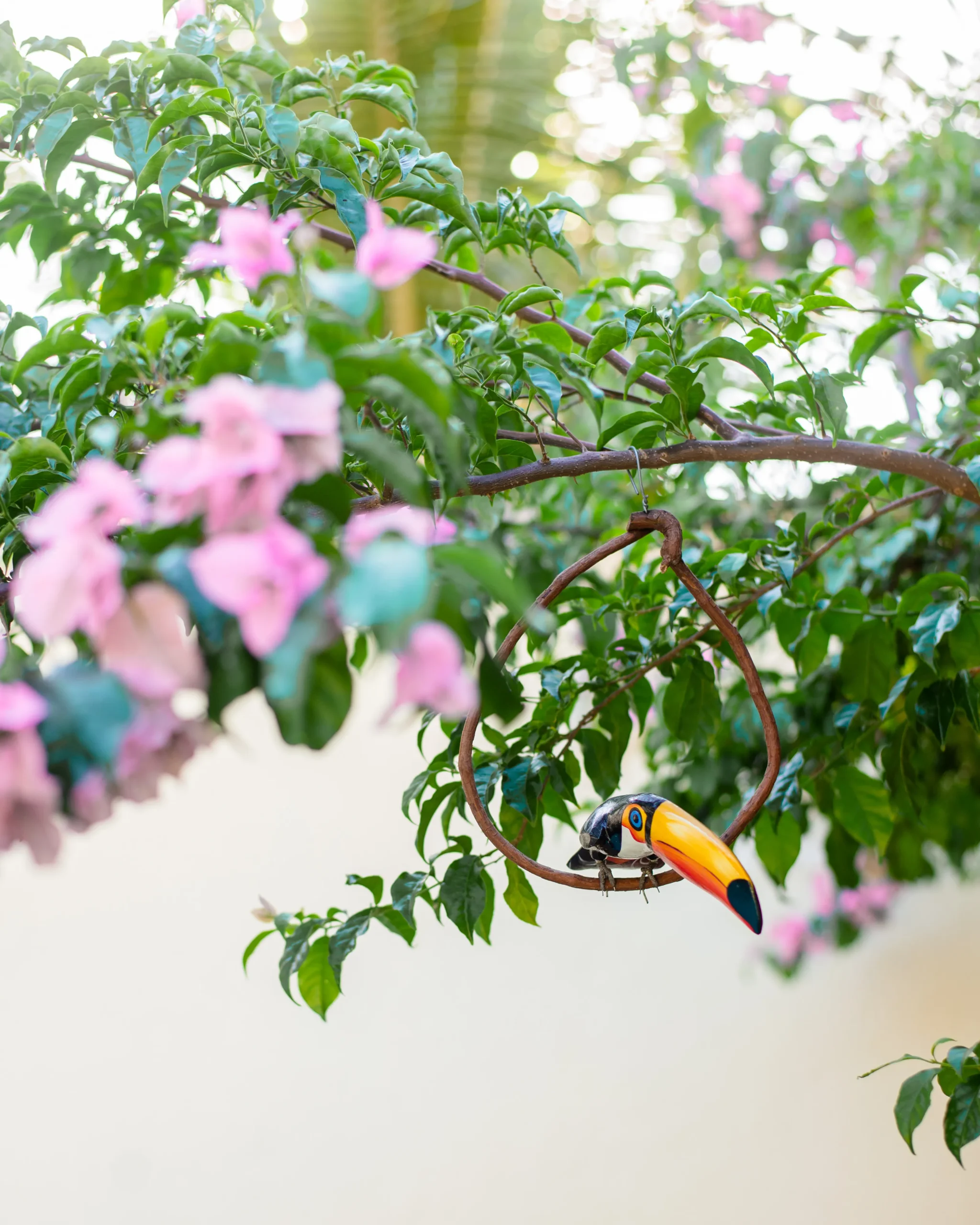 Vila Ravello - externa - 18-03-2025-4_11zon